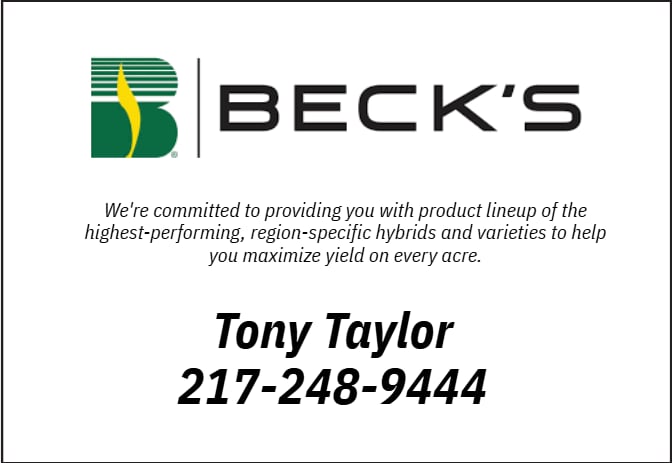 Becks